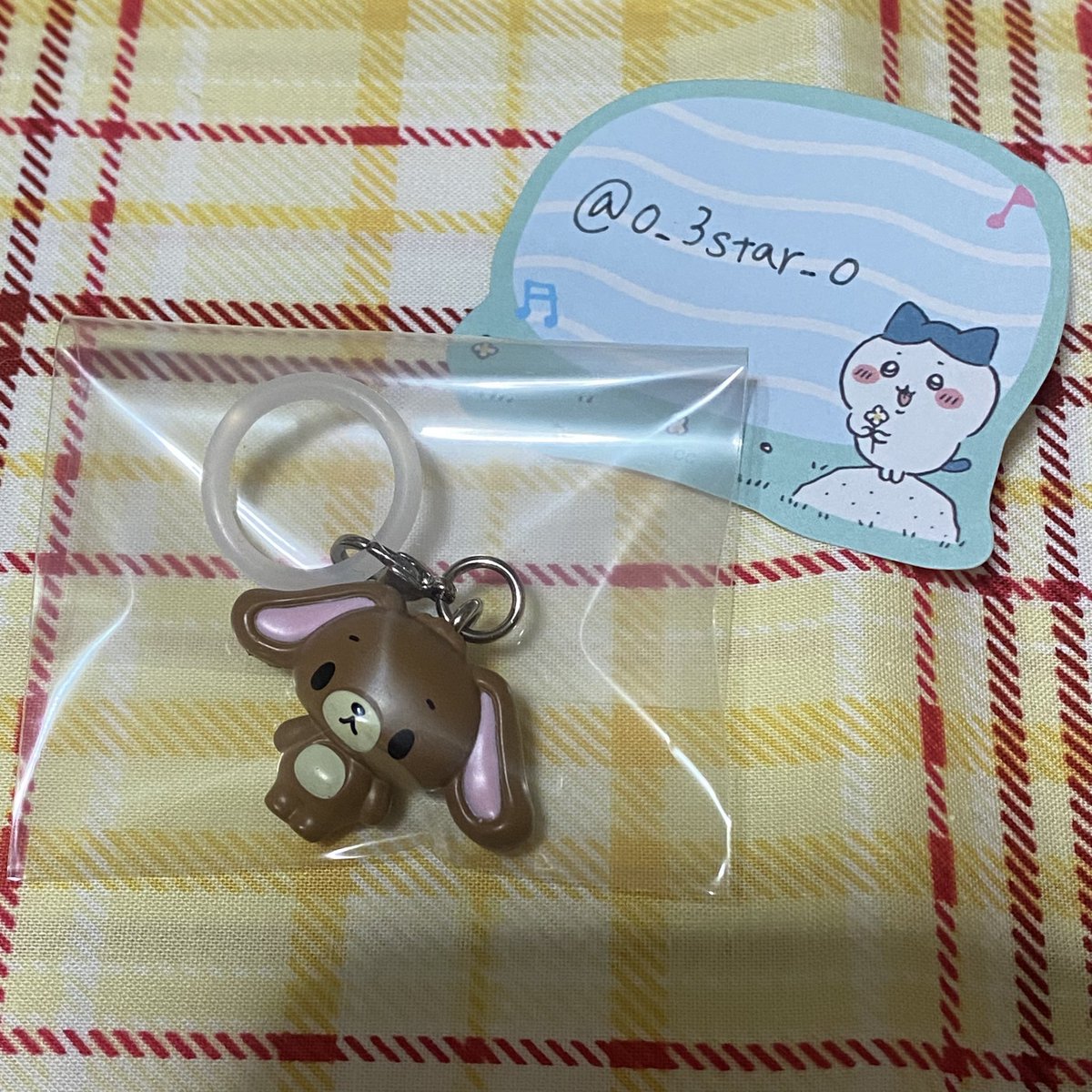 おもちわわ🐶🌼 tweet media