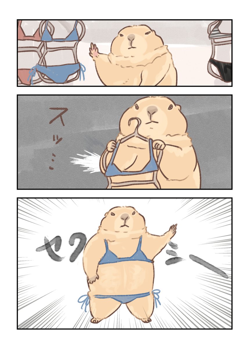 #プレーリードッグ

夏に向けての準備