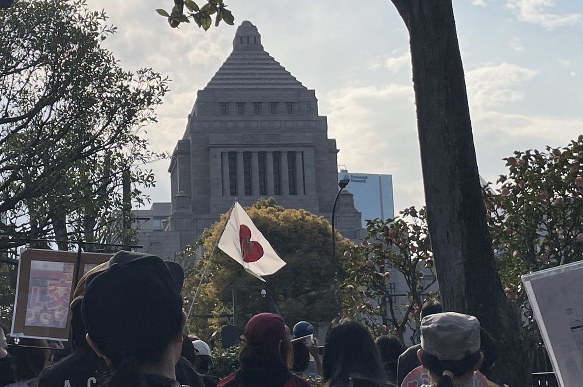 Qururuppo-くるるっぽー tweet media