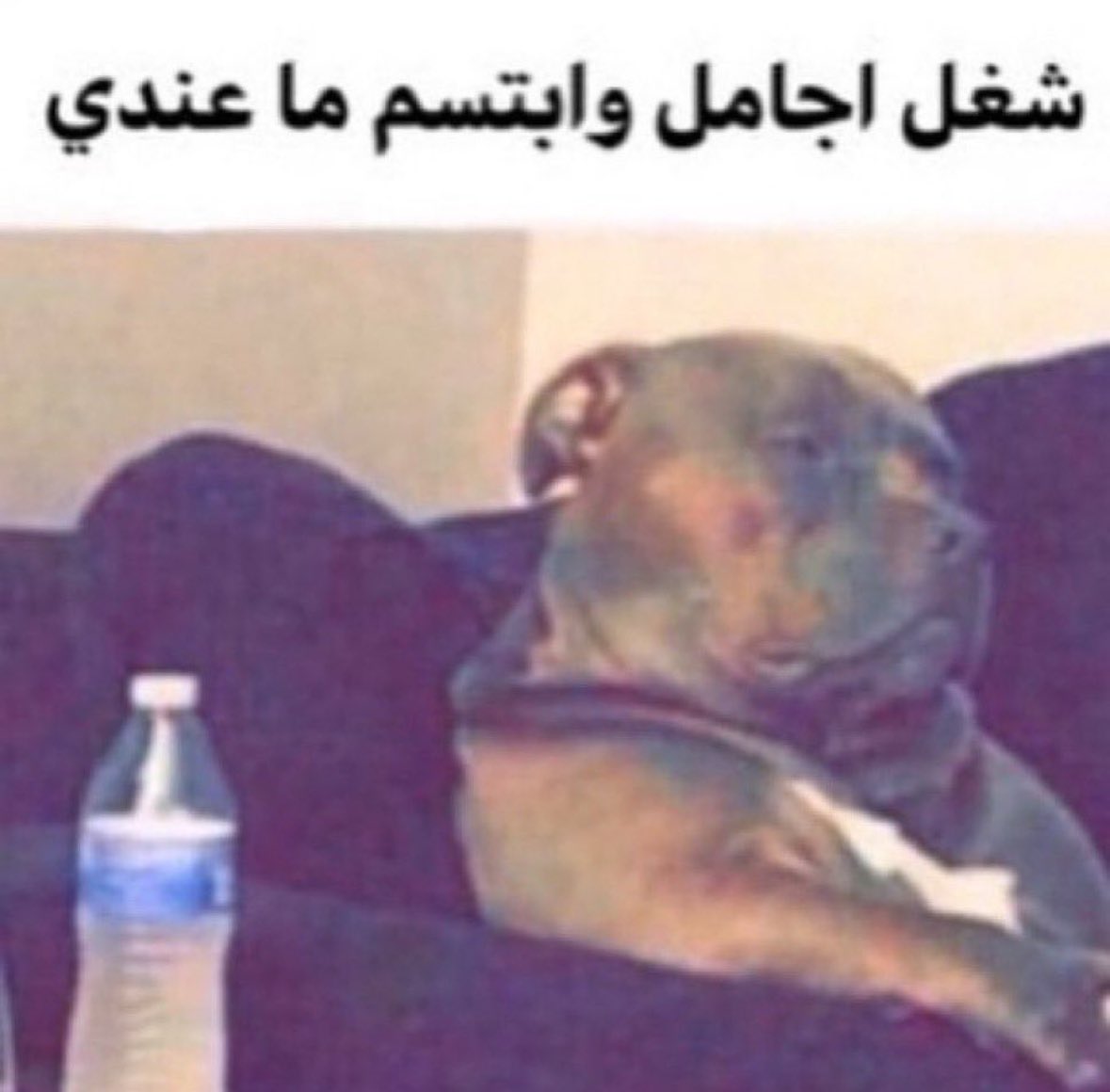 5900🪫! tweet media