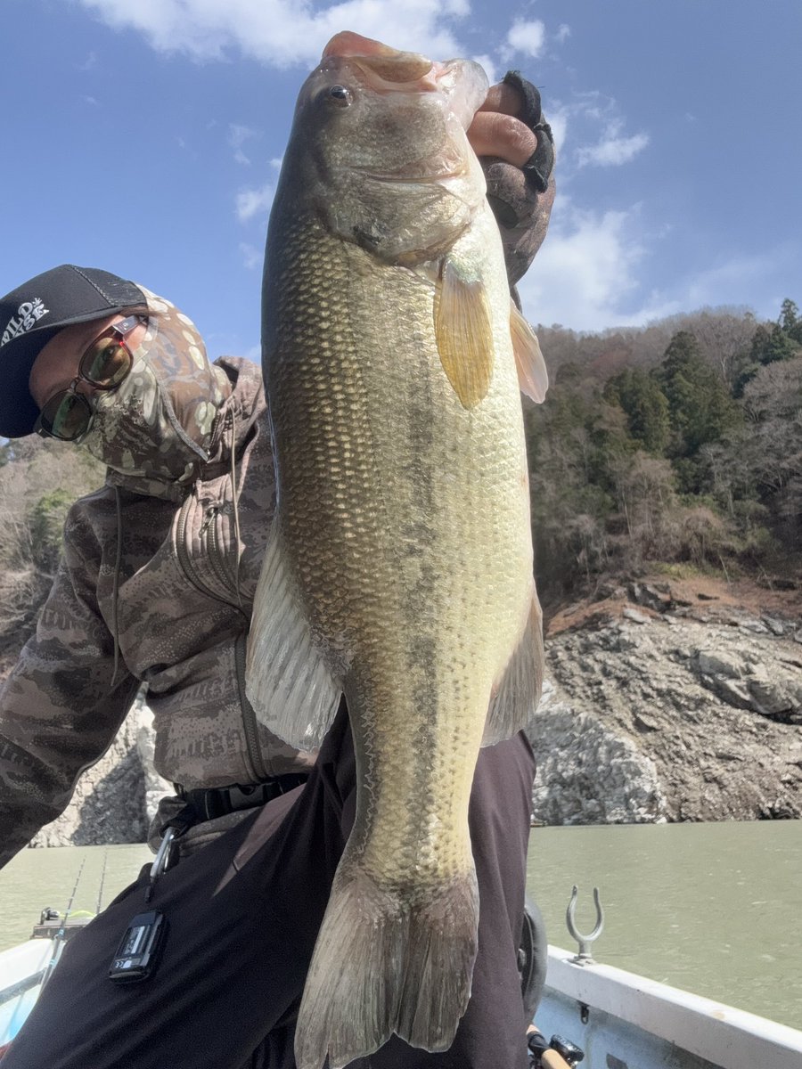 岡本 幸市 tweet media