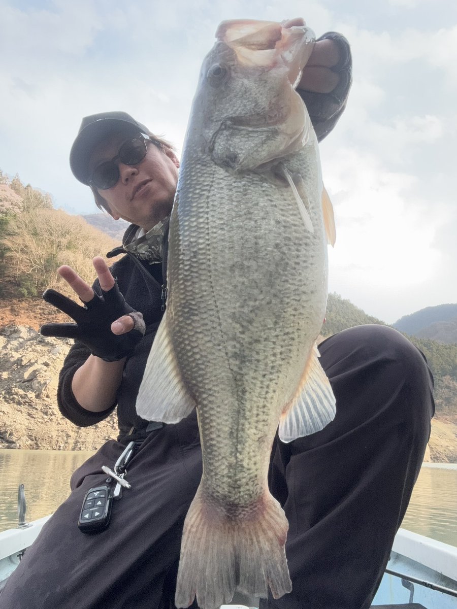 岡本 幸市 tweet media