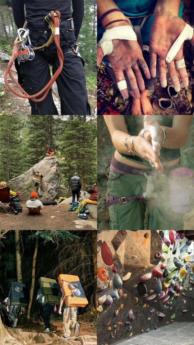 rebecca🦋🇵🇸 tweet media