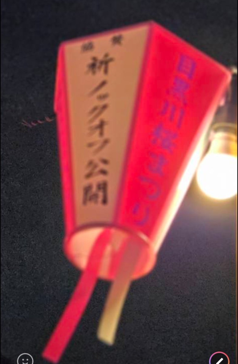 トンカツ tweet media