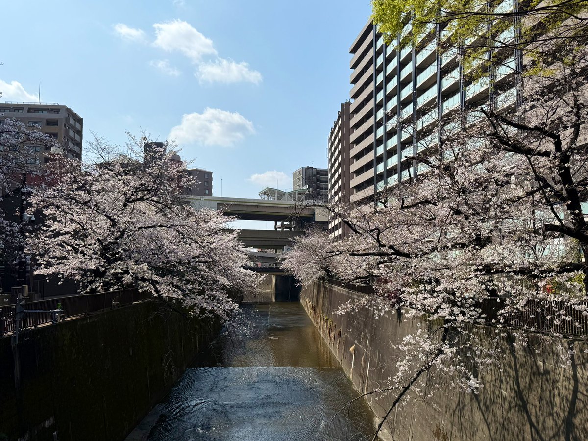 Reryuଳ tweet media