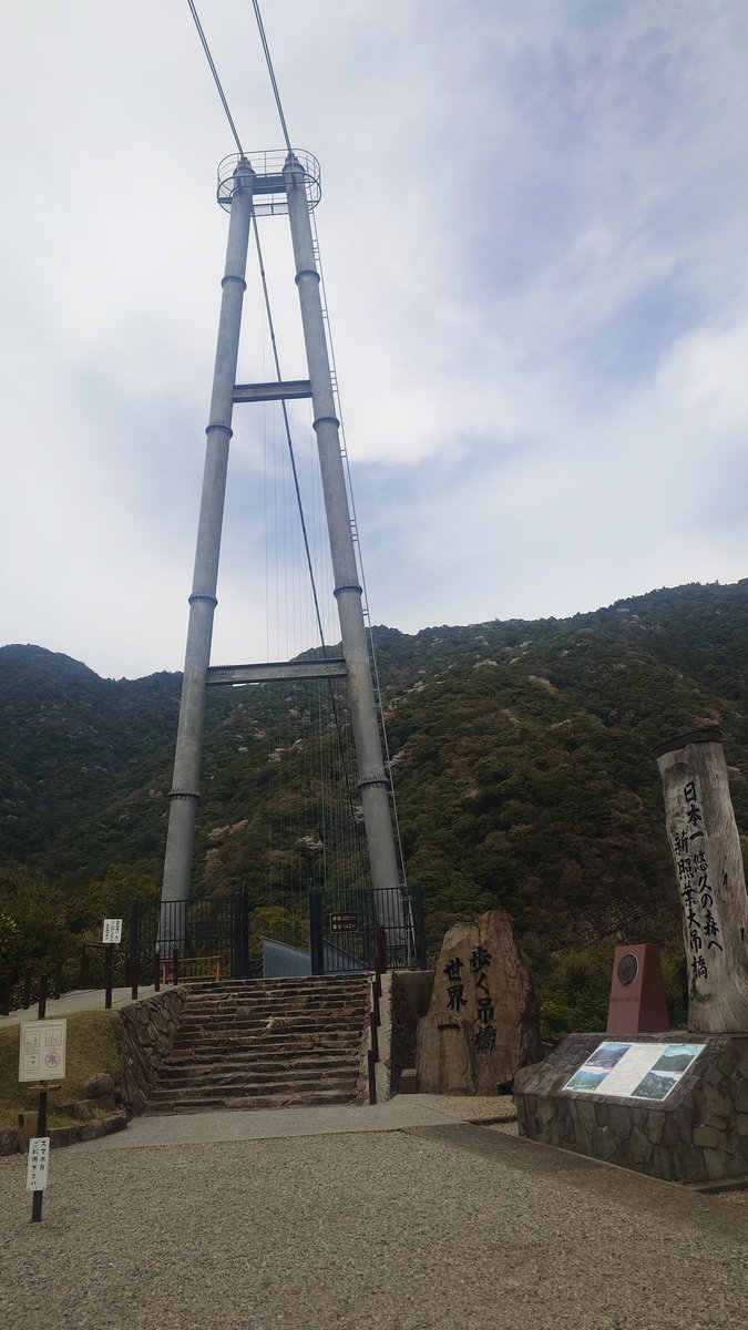 sr_whitebear's tweet photo. あとついでに母が行きたいって言ってた照葉大吊橋
高所恐怖症じゃなくても足が竦む(笑) https://t.co/BJIllqZqEY