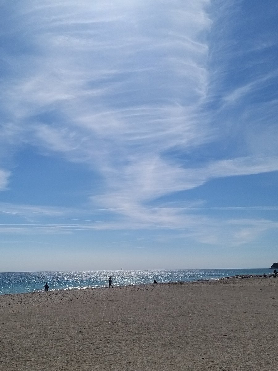 Maria Giulia tweet media