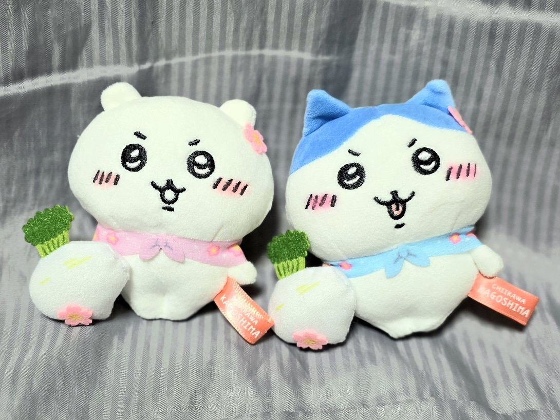 🐬ほƖ ıㄘ🐬 tweet media