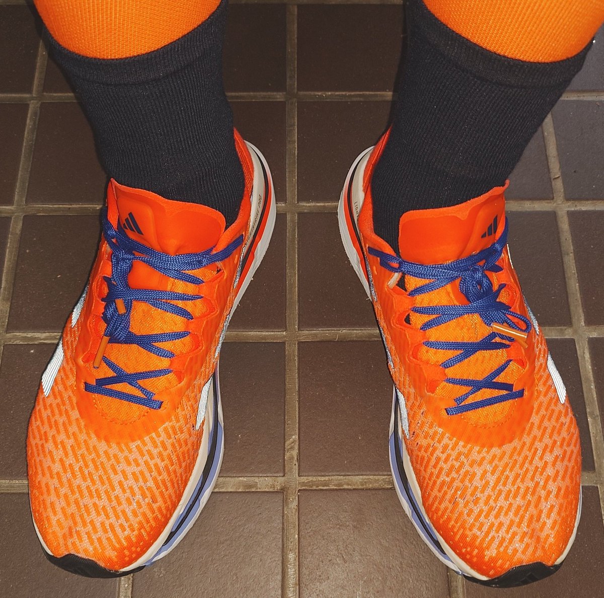 ZtabediH tweet media