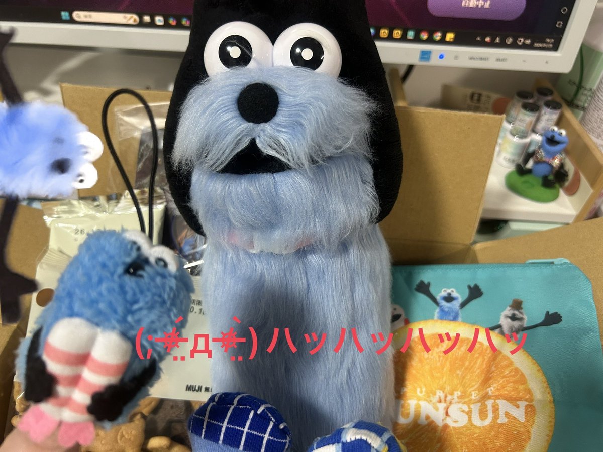 マリィちゃん🦖羽スン໒꒱ tweet media