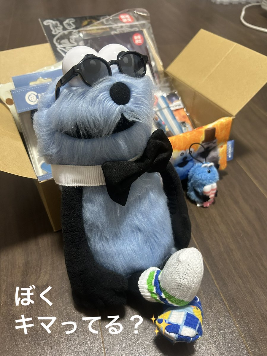 マリィちゃん🦖羽スン໒꒱ tweet media