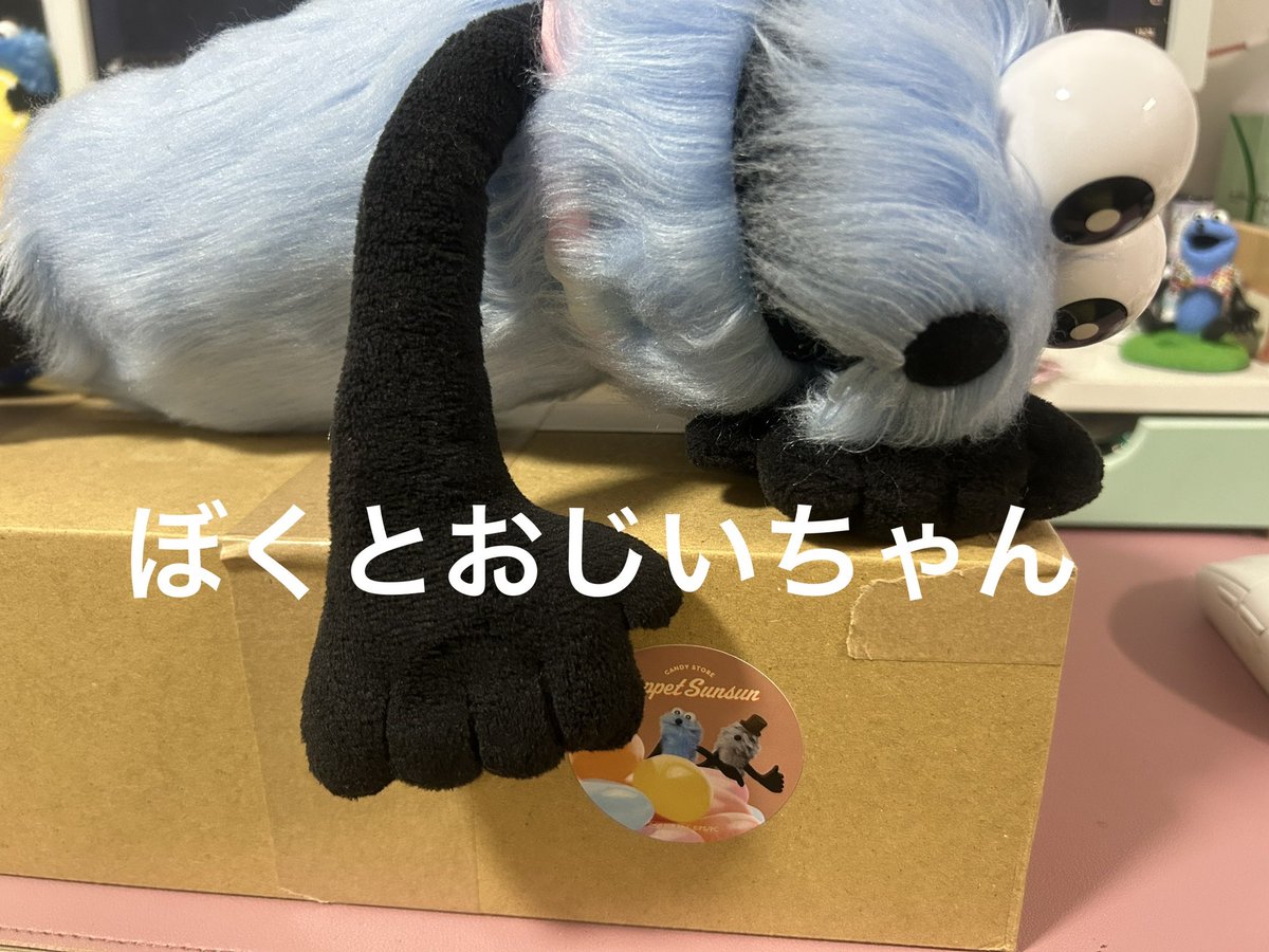 マリィちゃん🦖羽スン໒꒱ tweet media