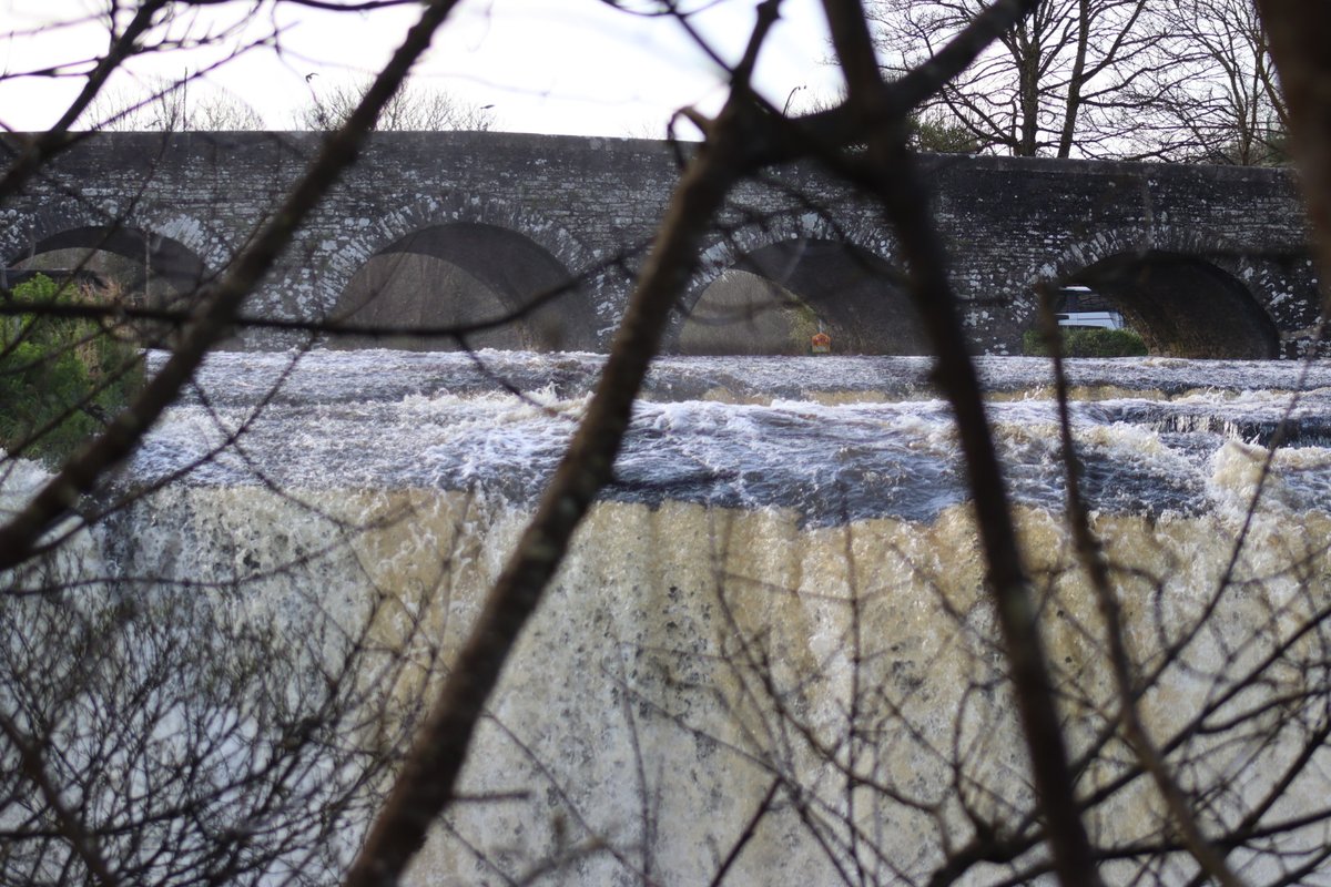 BM Malone tweet media