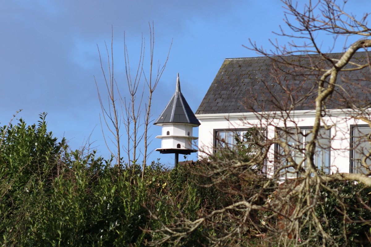 BM Malone tweet media