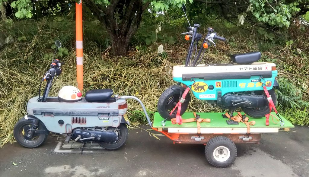 真心商会(鹿) tweet media