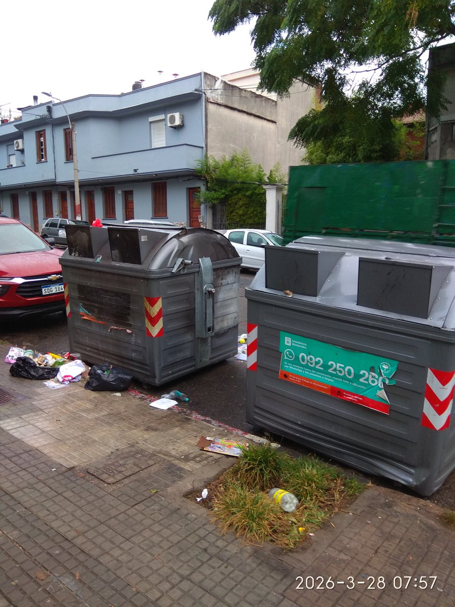 Nanda Oliva tweet media