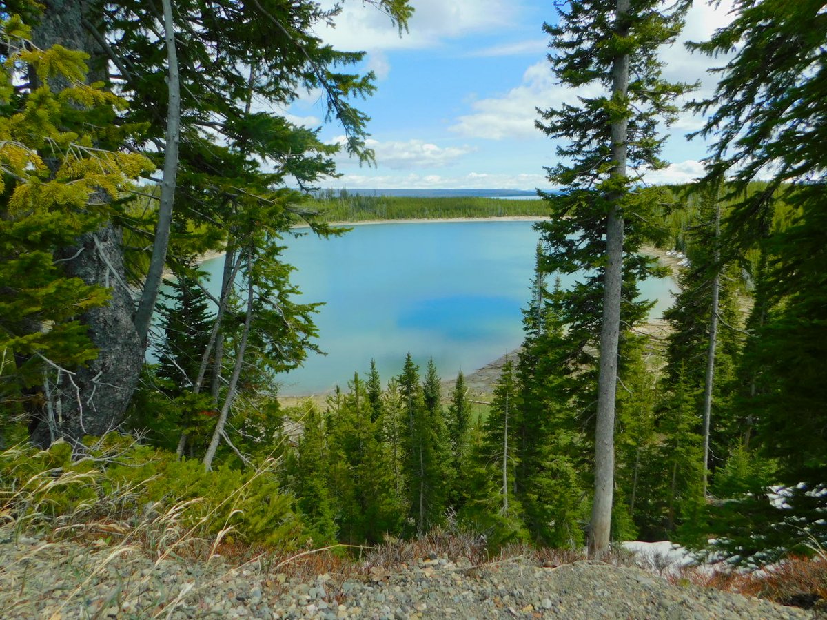 VollBird 🇺🇸 tweet media