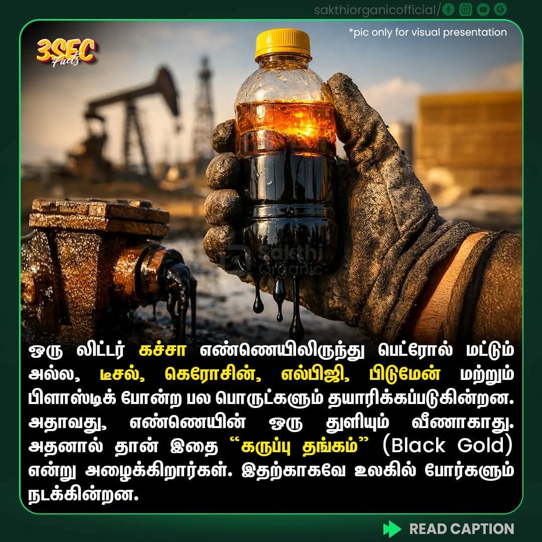 honey bee tweet media