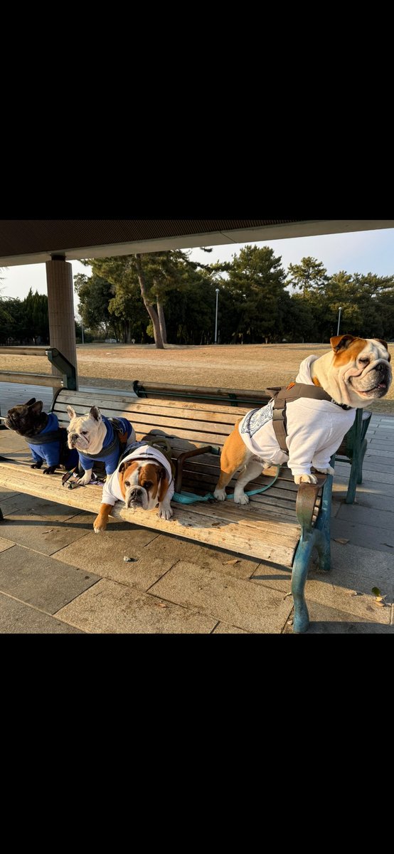 へびっこ母ちゃん tweet media