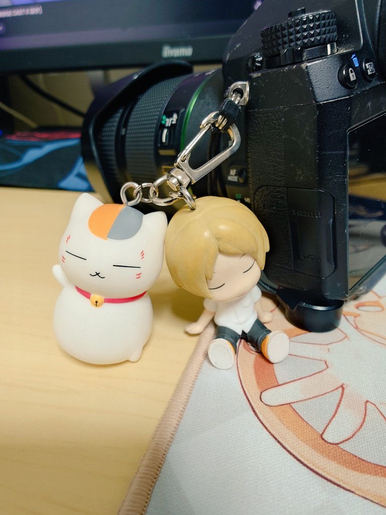 Bo(ぼー)@📷 tweet media