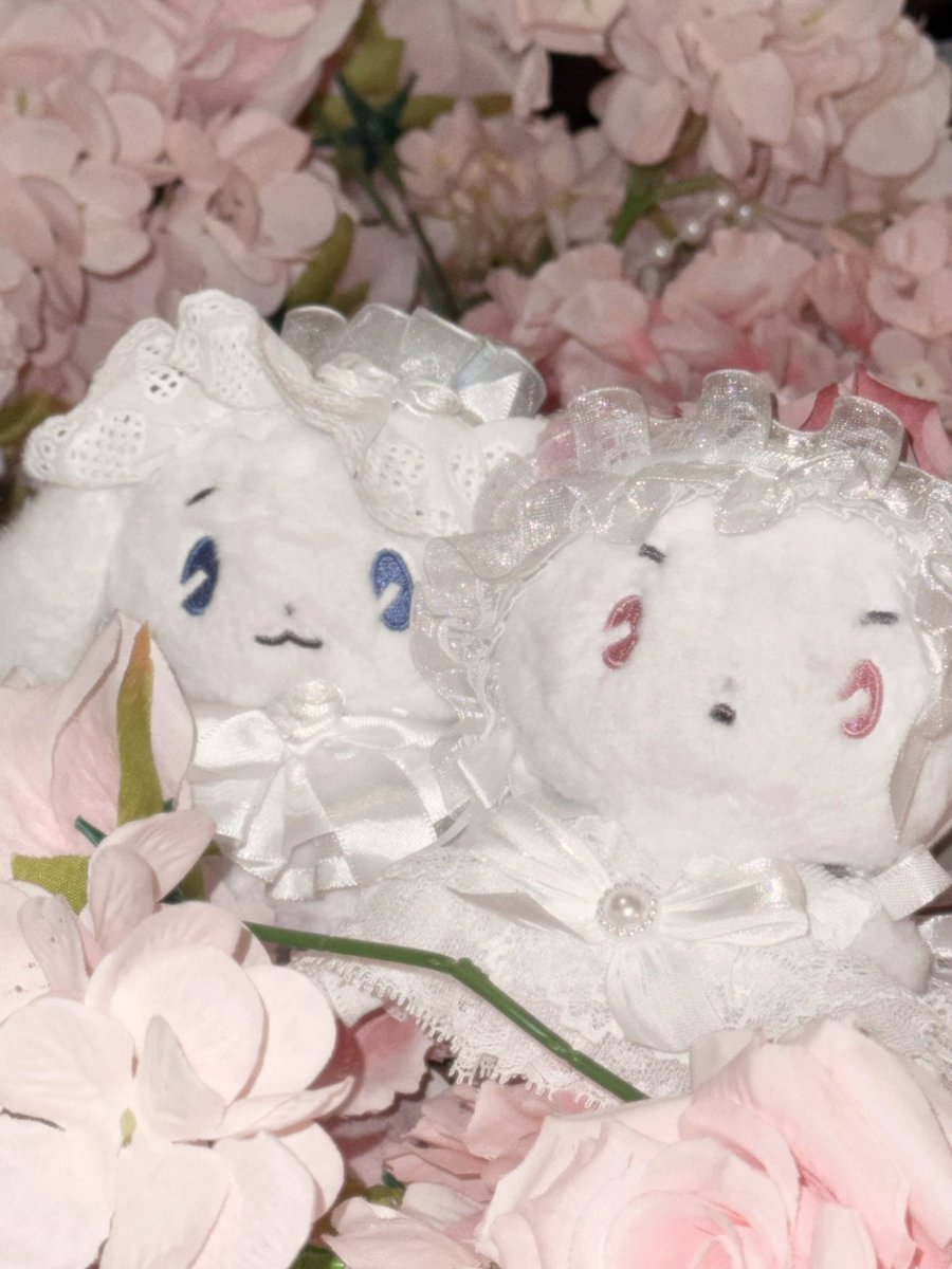 주스²³ tweet media