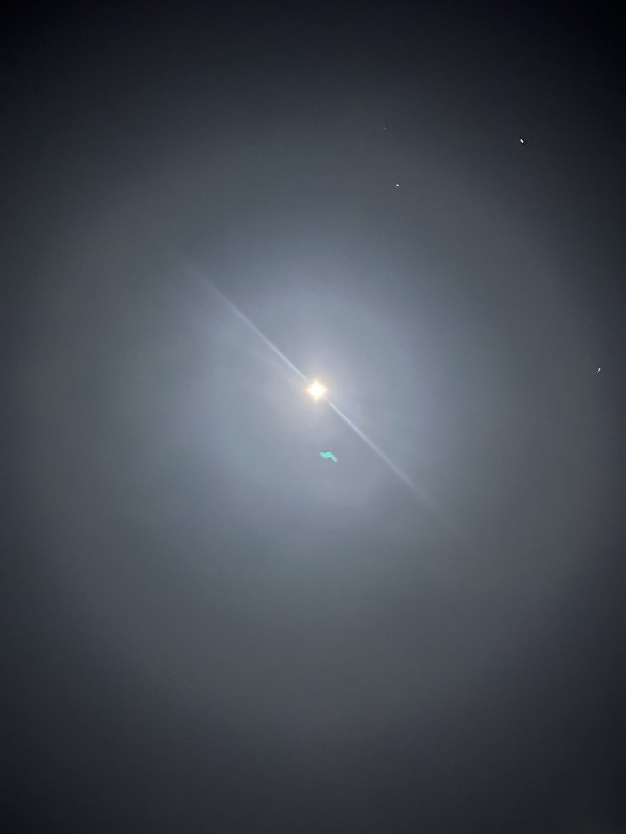 ルーチェ tweet media