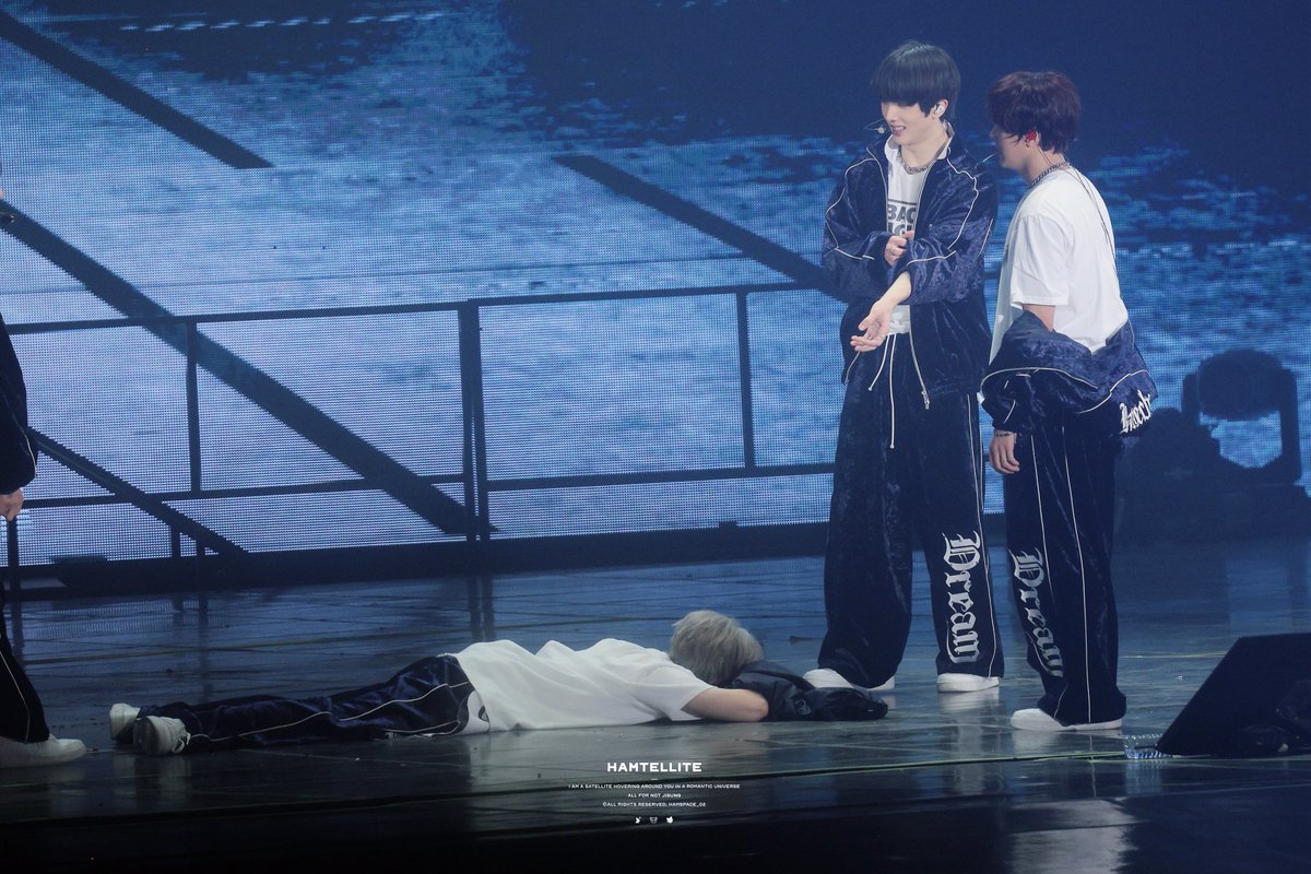 Hamtellite tweet media