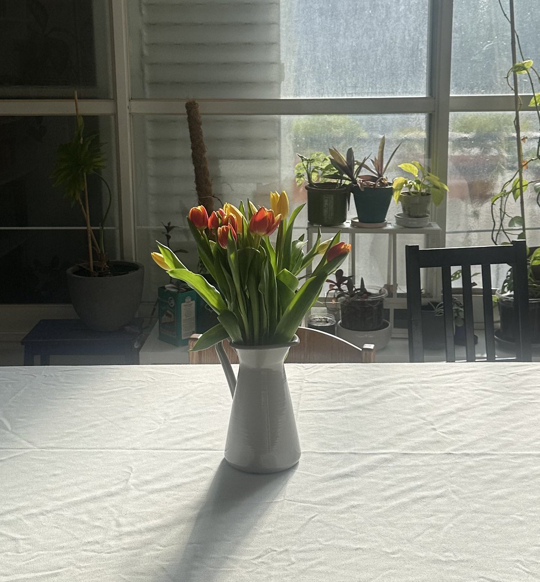 Hadar Paryente tweet media