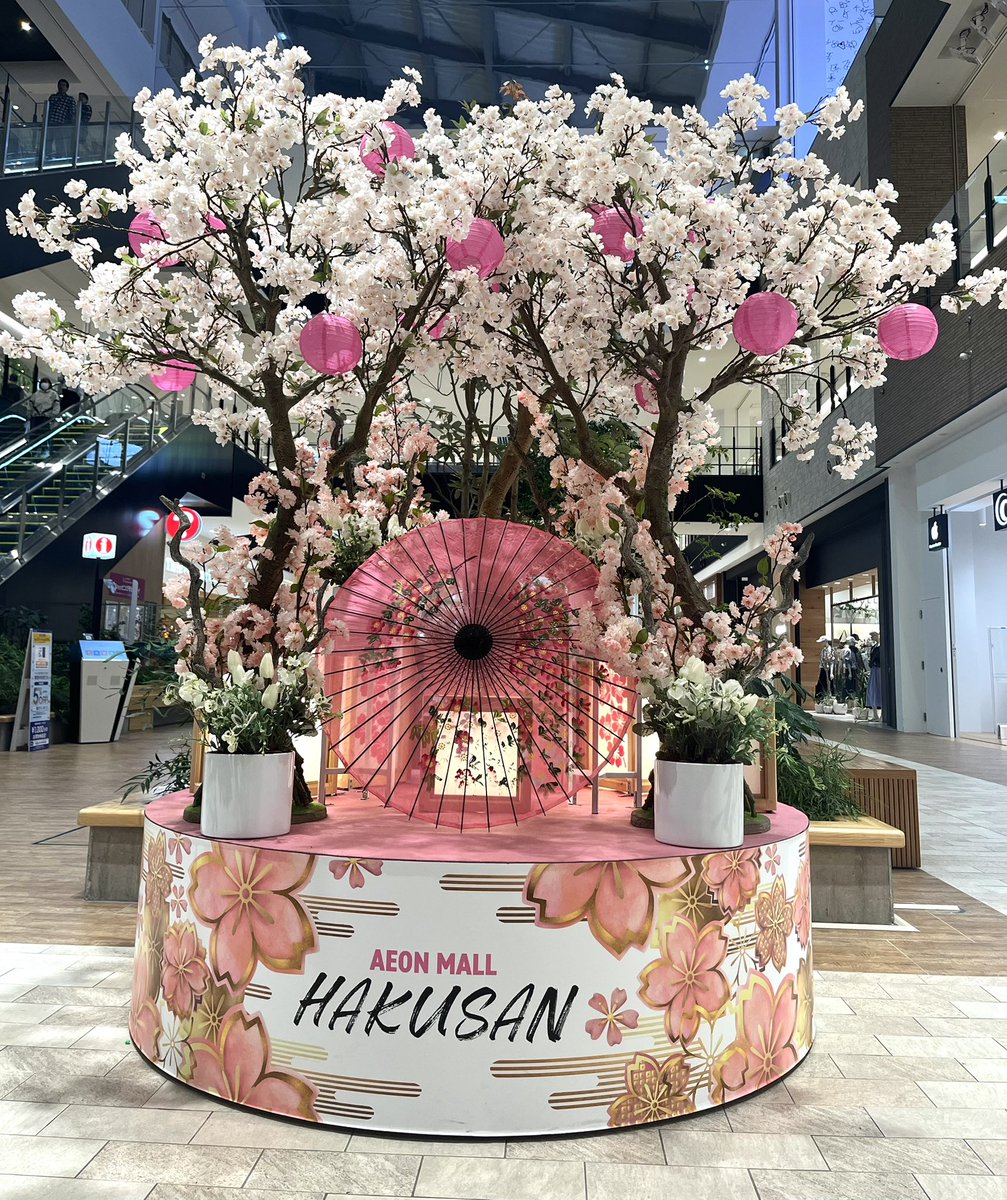 ふか☁️ tweet media