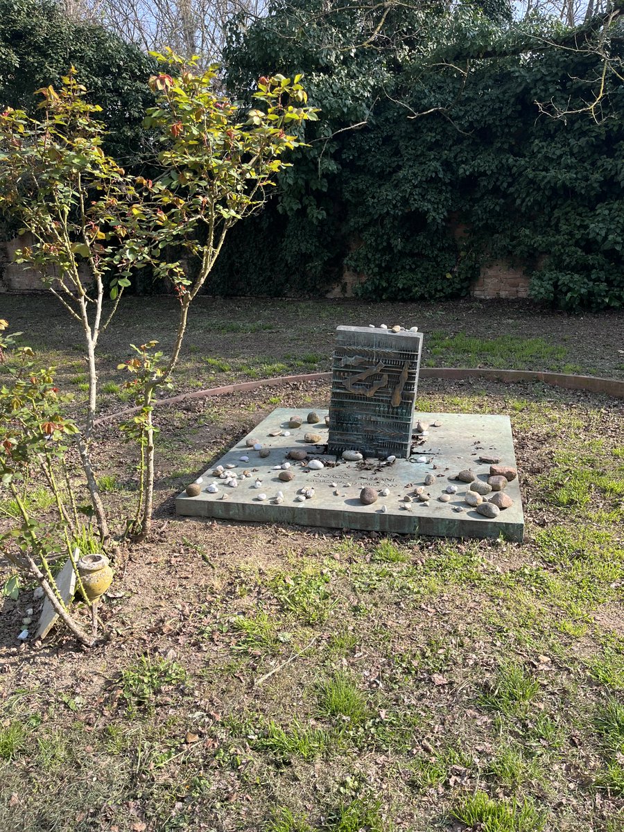 Guido Finzi tweet media