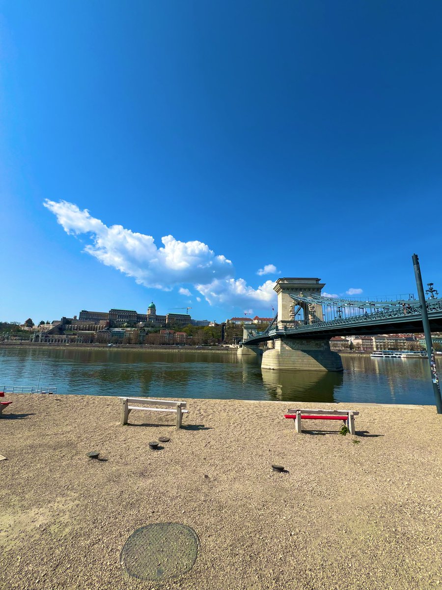 Josh Maskill tweet media