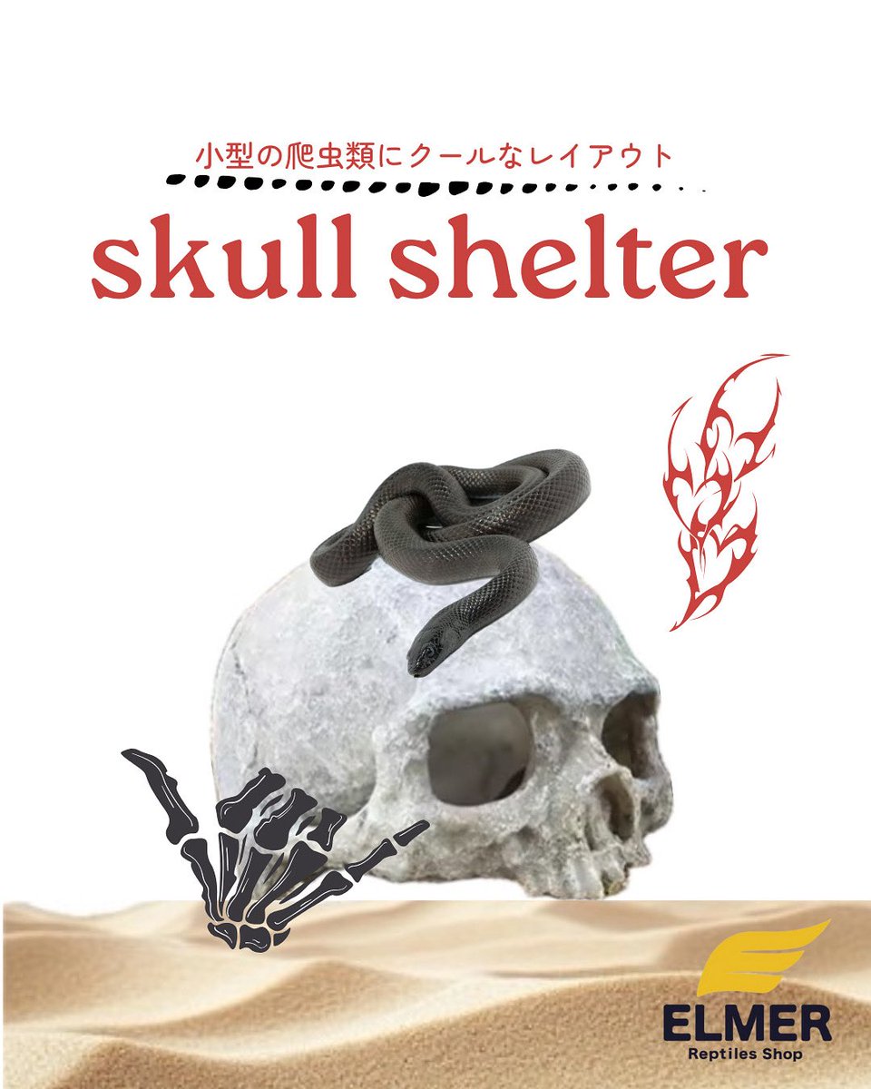 ELMER l エルマー@4/26(日) JH静岡 tweet media