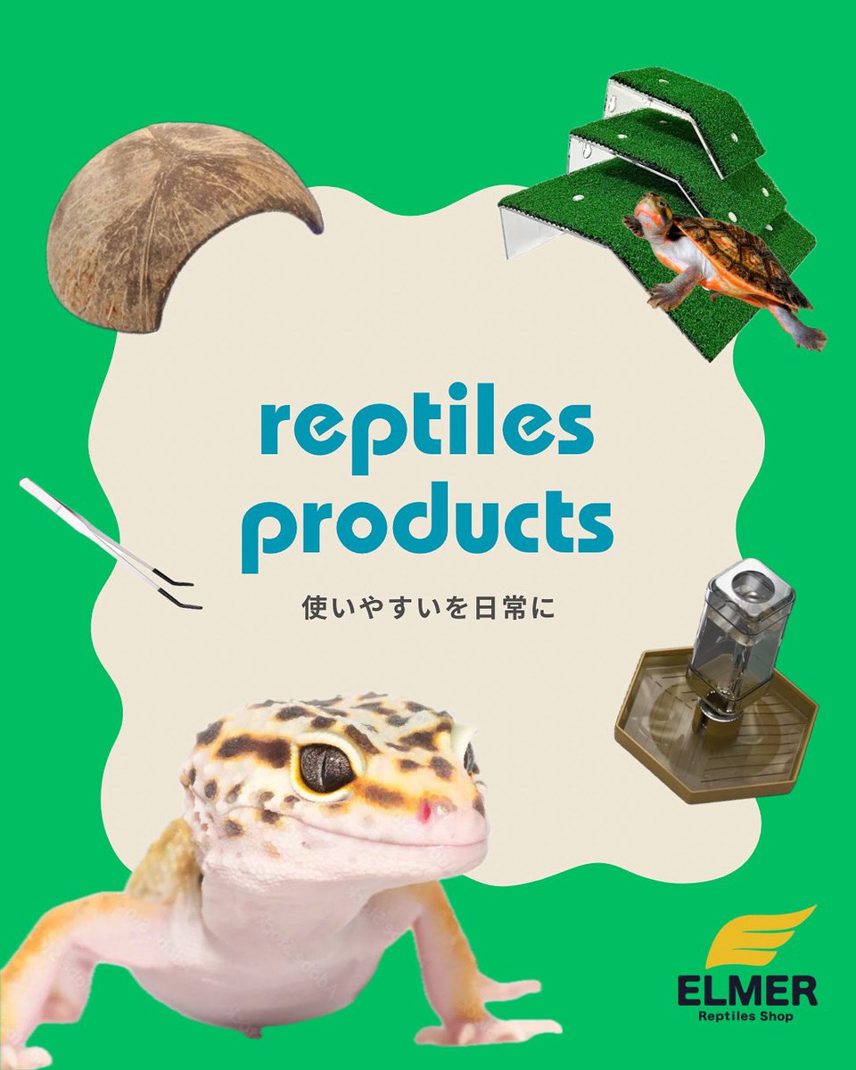 ELMER l エルマー@4/26(日) JH静岡 tweet media