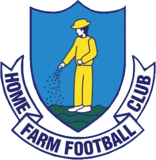 Marco Maioli tweet media