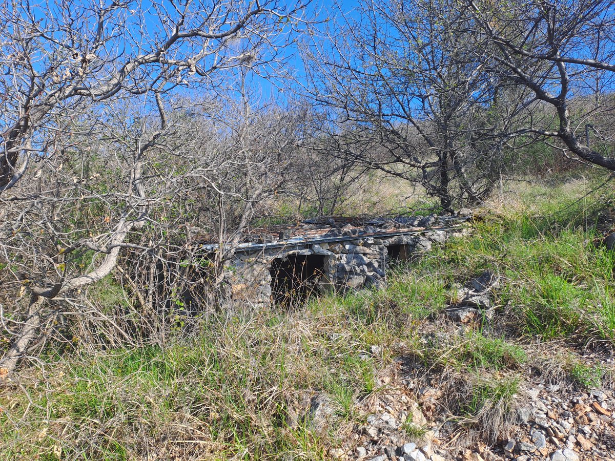 Roberto Bertoli tweet media