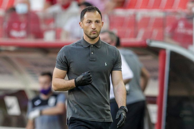 e🇧🇪 tweet media