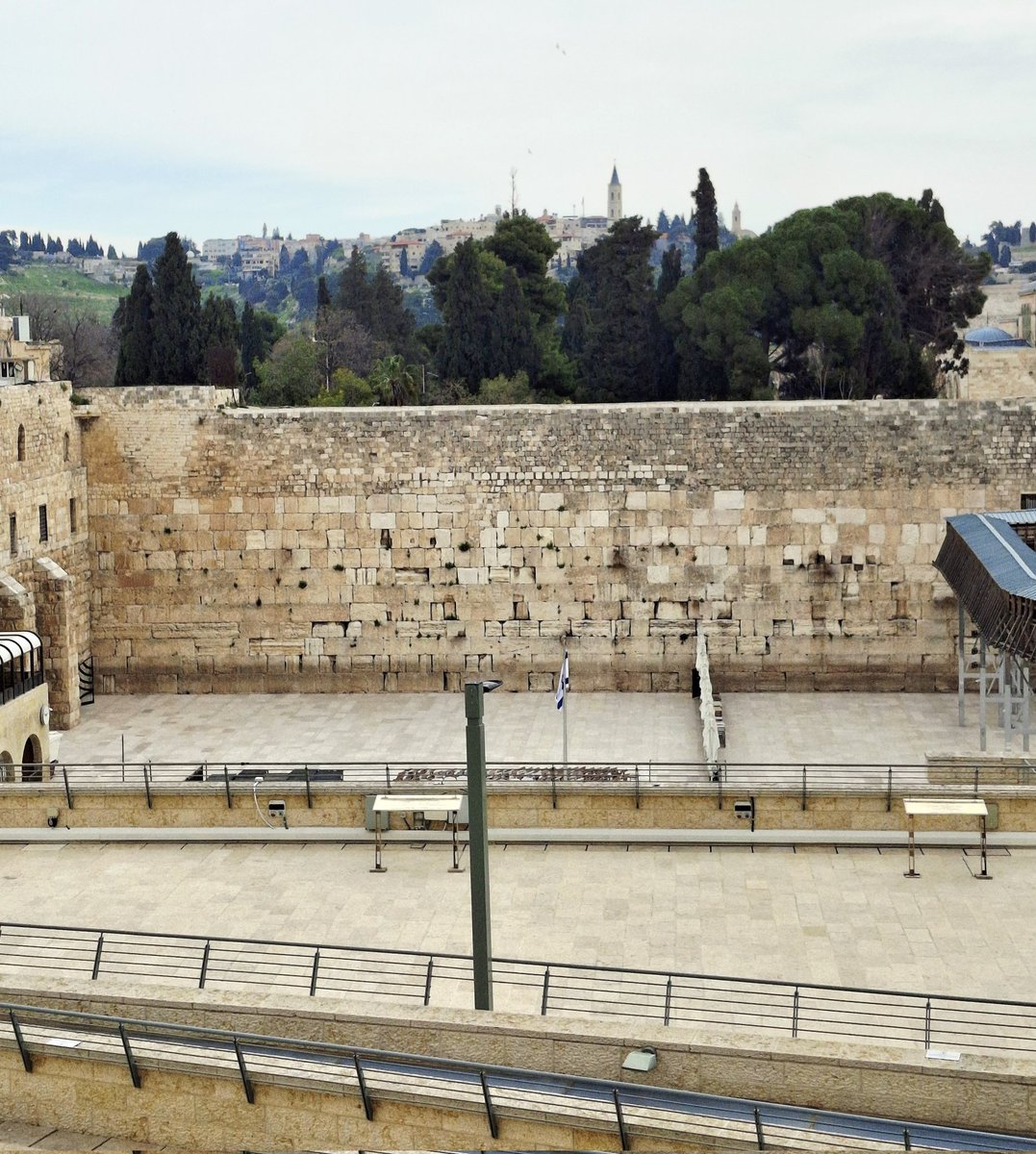 Israël en français tweet media