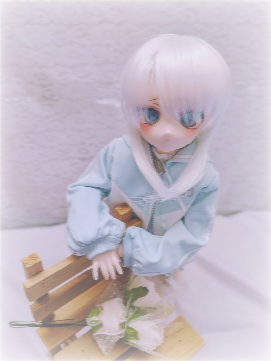 ngtr_tb's tweet photo. ⫘⫘⫘⫘⋆夢の中のあの子⋆⫘⫘⫘⫘ https://t.co/09CM0kObKE