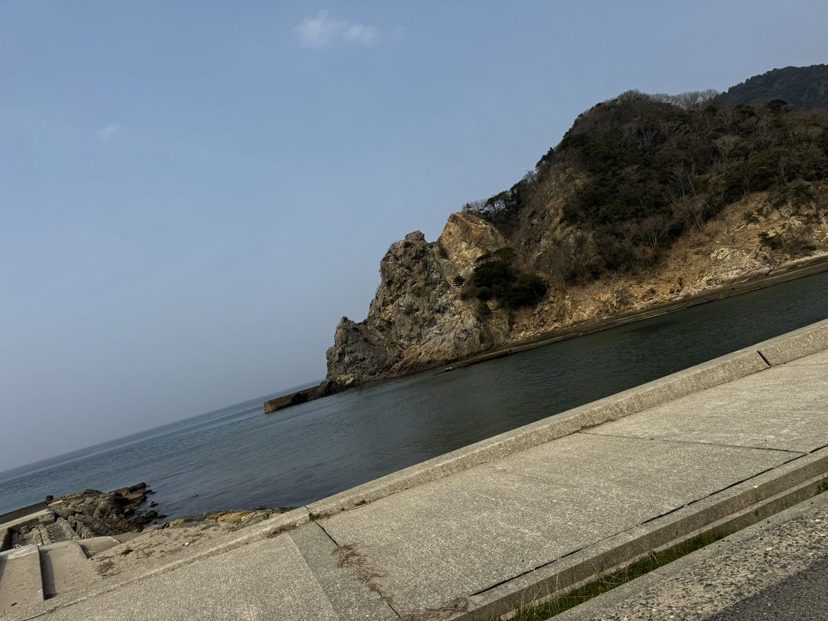 らむ🐥 tweet media