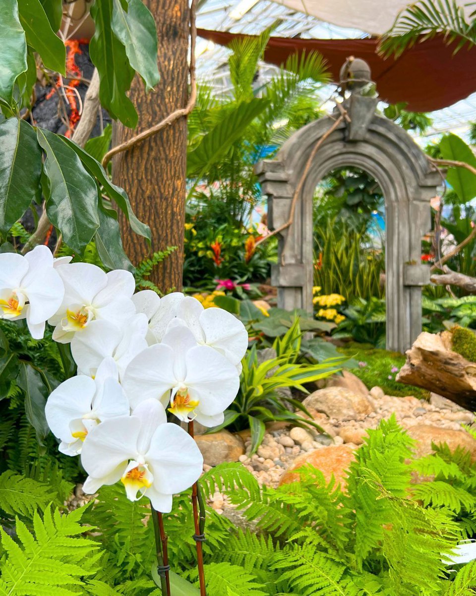 Hicks Nurseries tweet media