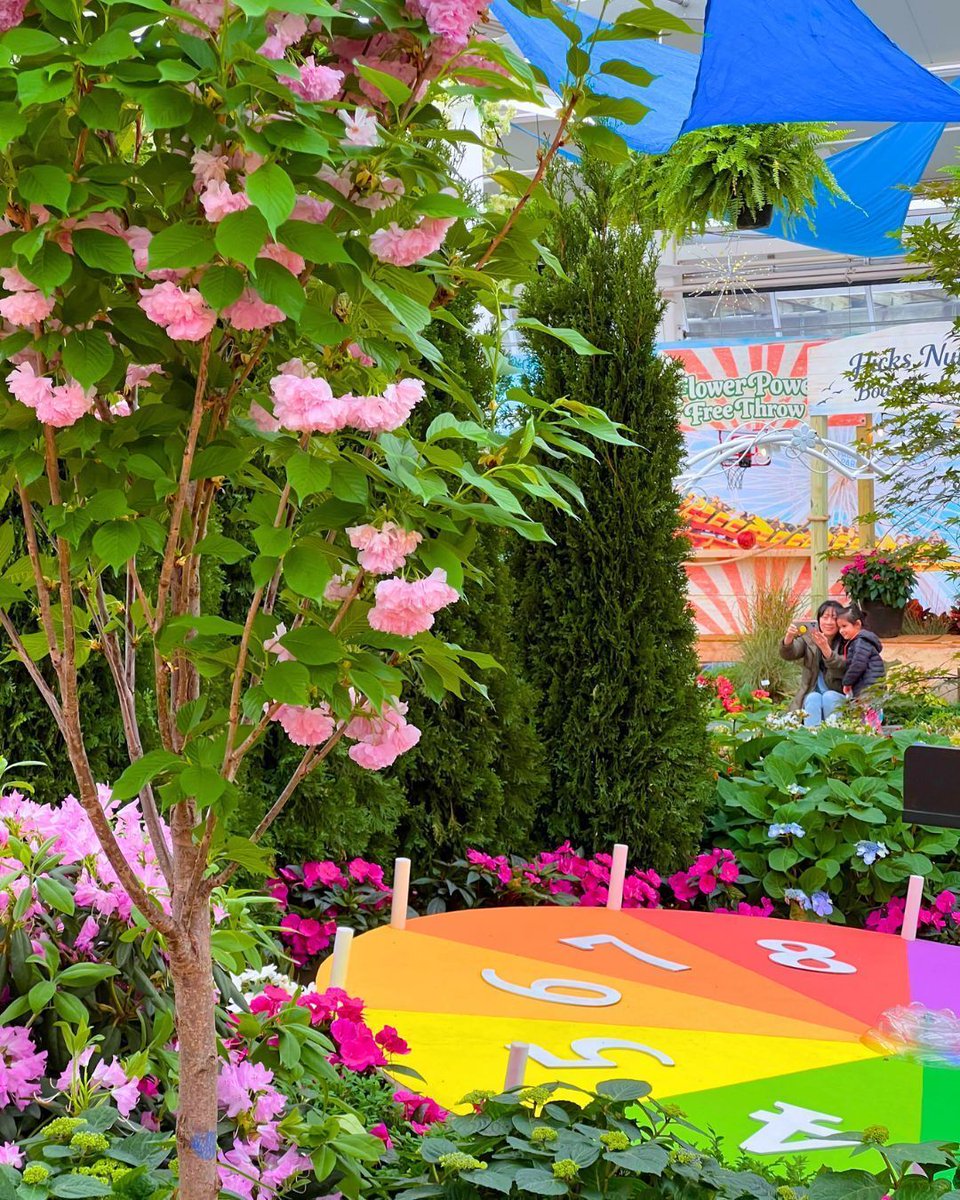 Hicks Nurseries tweet media