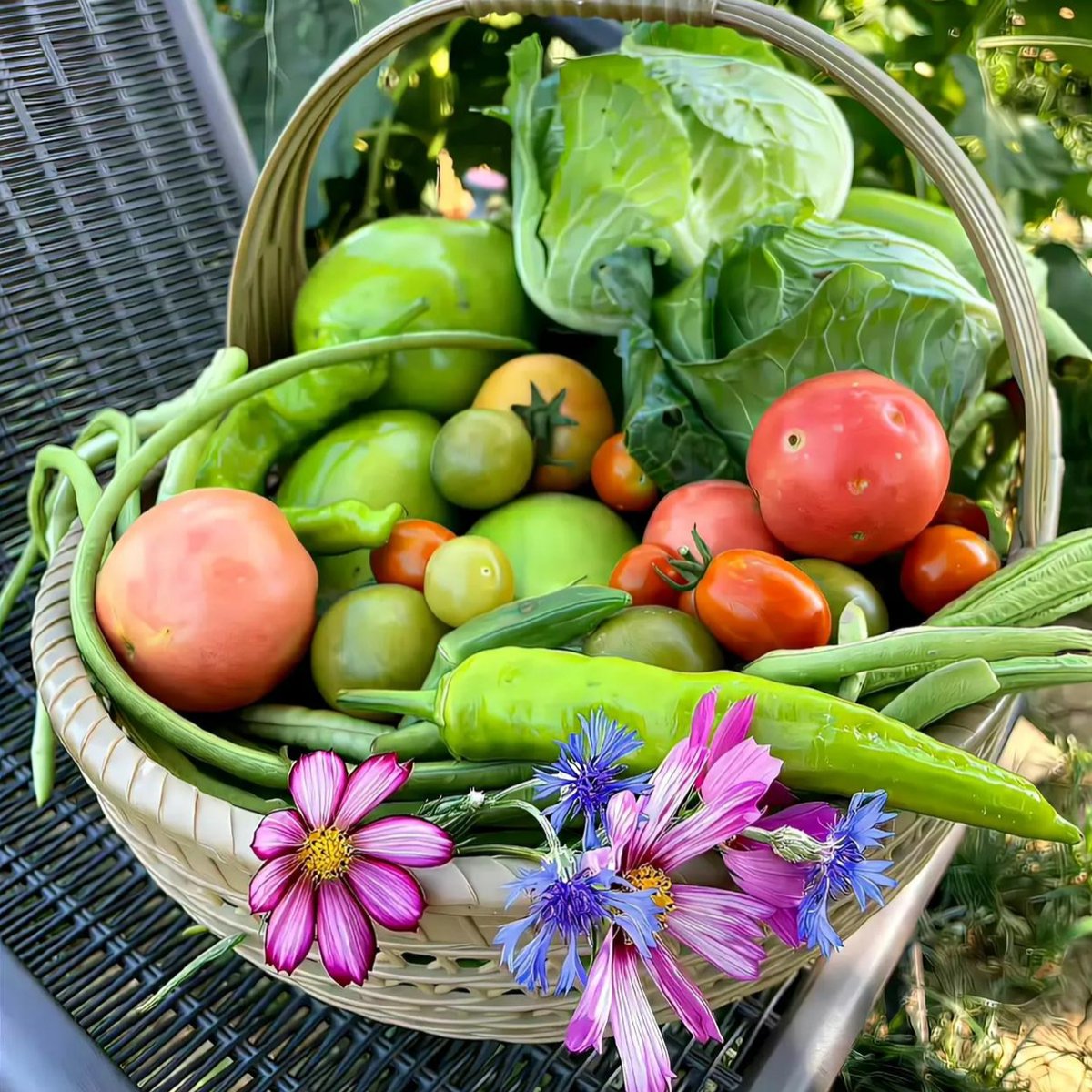 Rebekah Sialafau tweet media