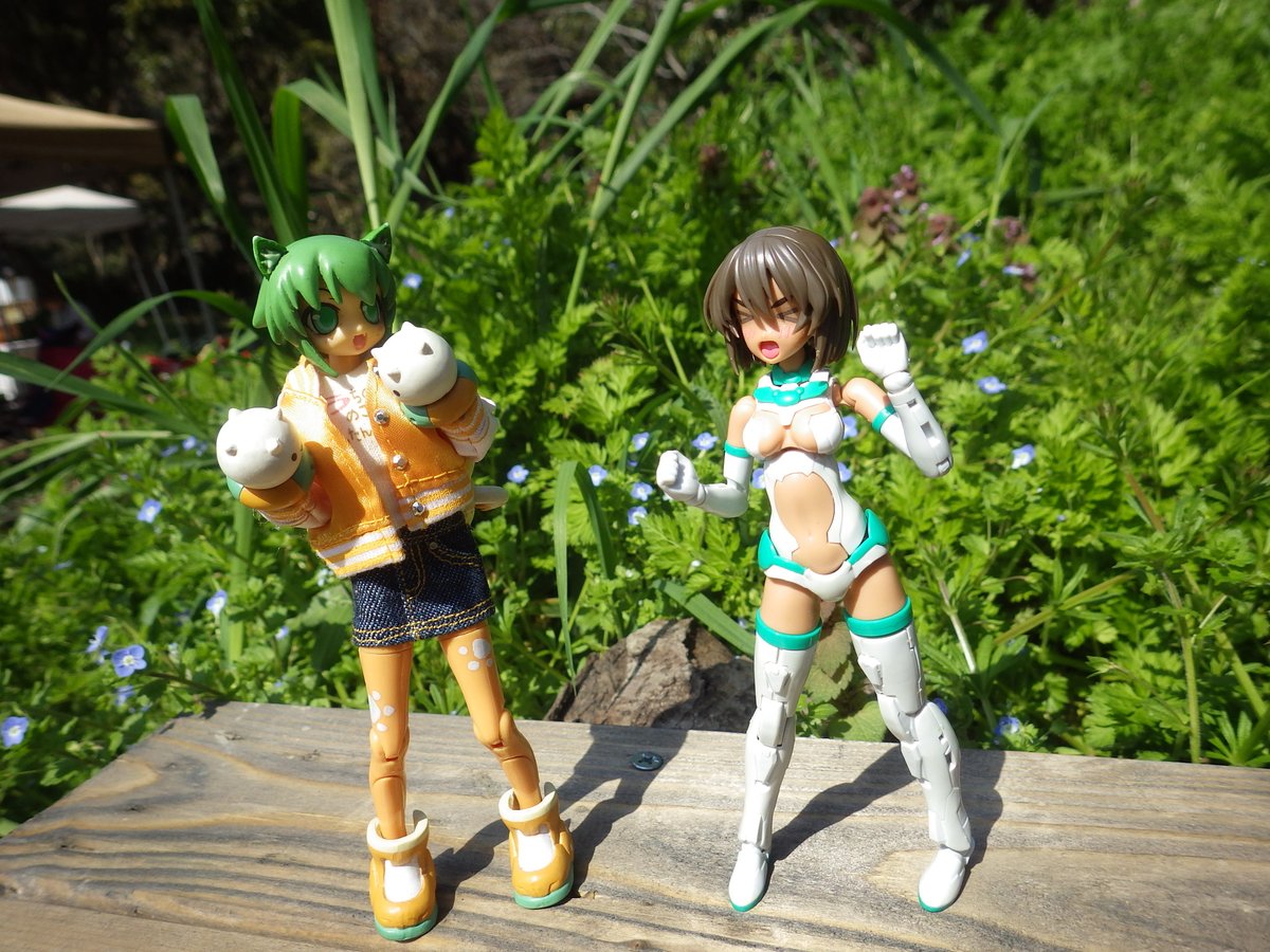 翠騎（すいき） tweet media