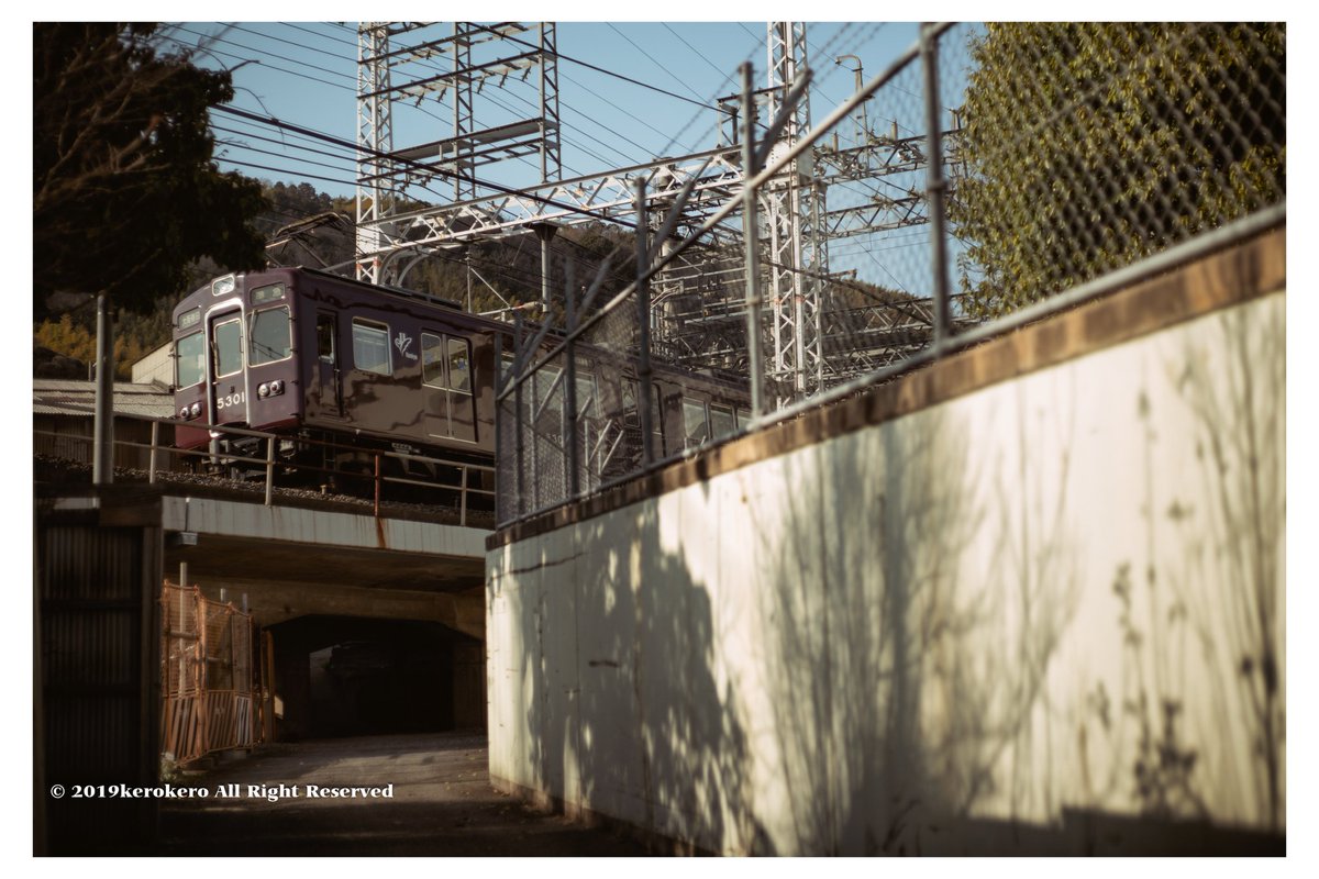 kerokero tweet media