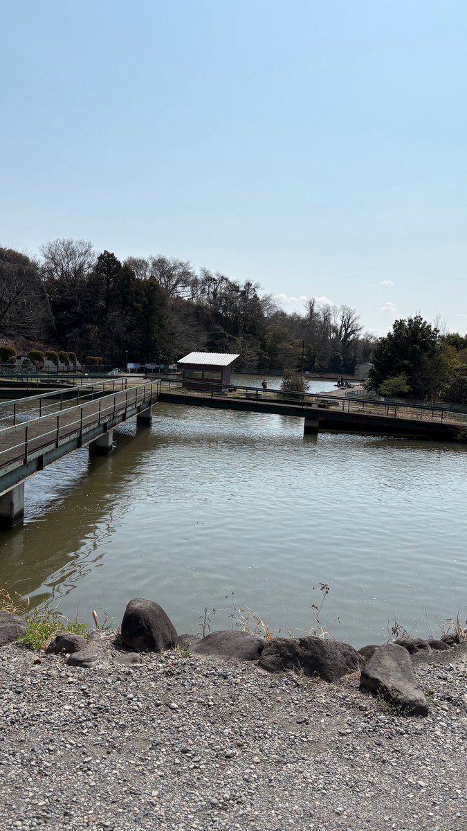 ama_taka（あまたか） tweet media