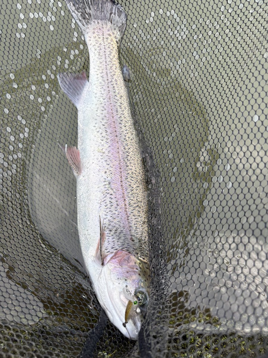 ama_taka（あまたか） tweet media