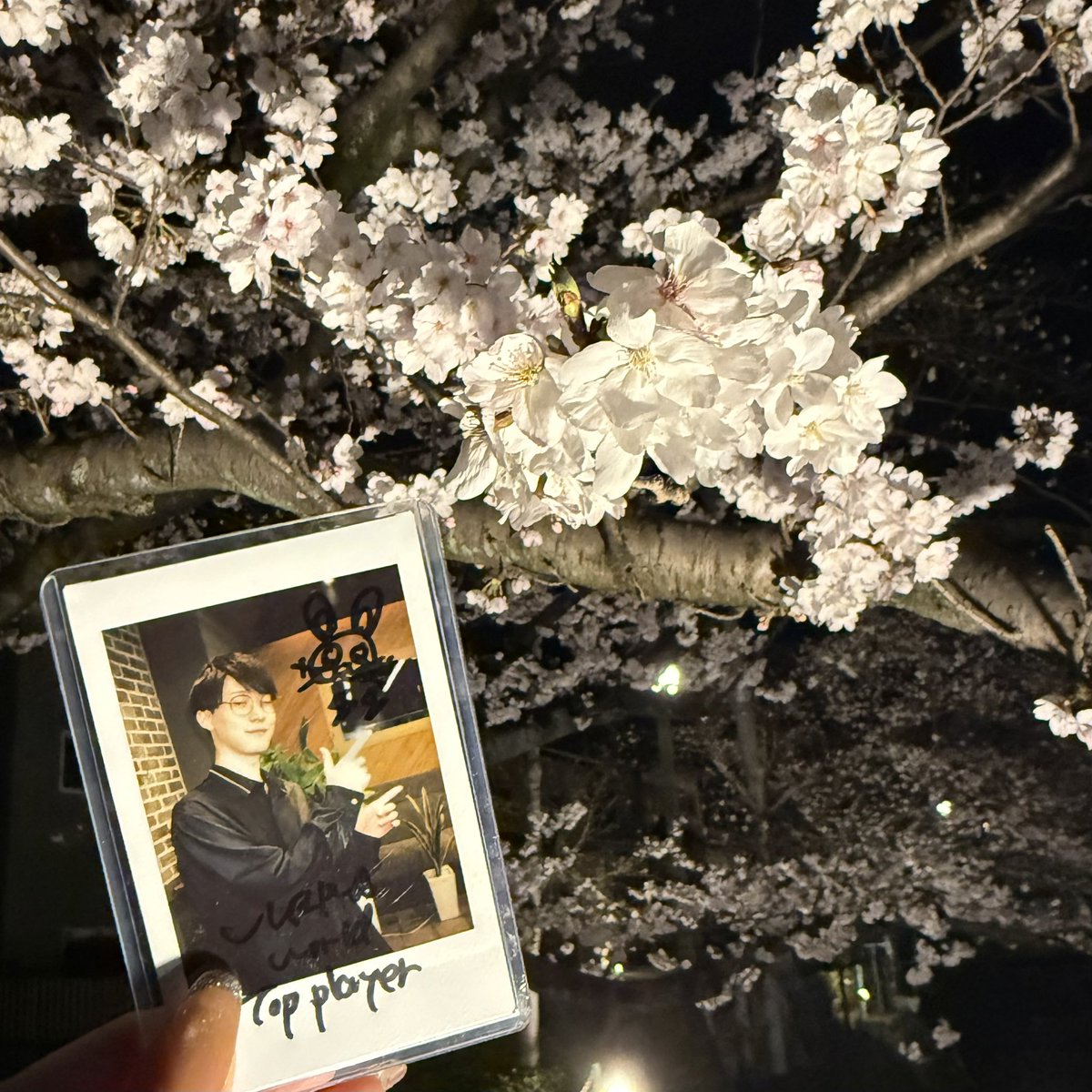 ｲﾄｾ tweet media