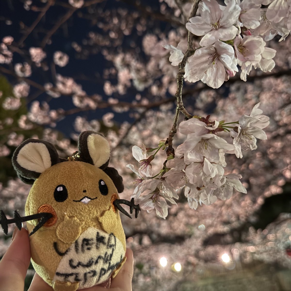 ｲﾄｾ tweet media