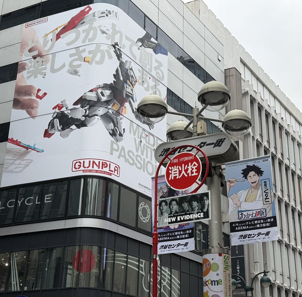 山下誠一郎 Seiichiro Yamashita tweet media