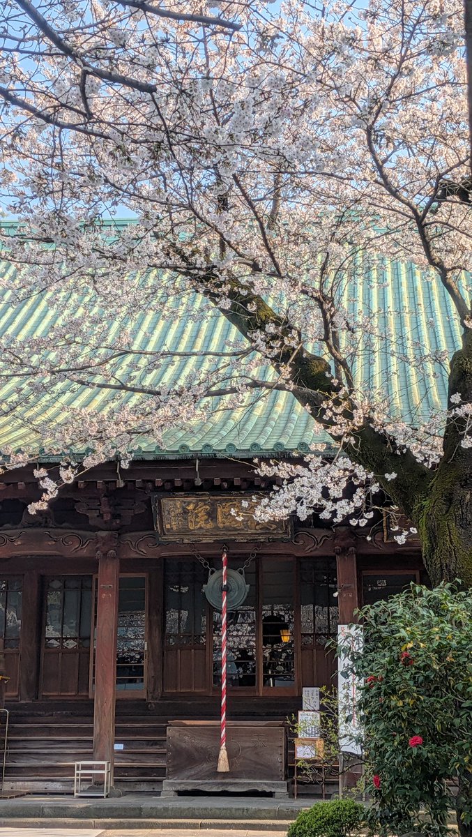 Hiroshi Chonan tweet media